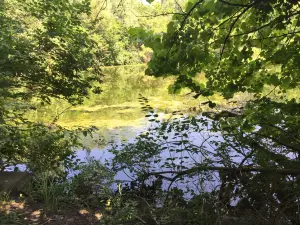Dillon Nature Center