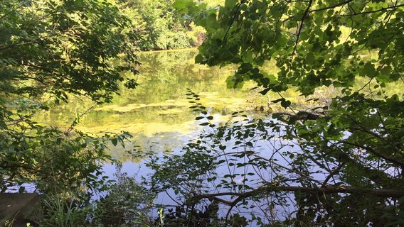 Dillon Nature Center