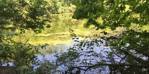 Dillon Nature Center