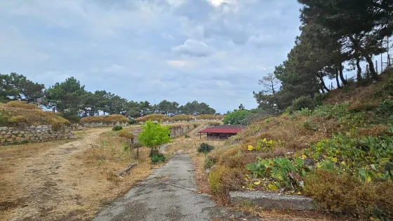 Pasa Tabyalari