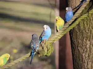 Tierpark Wolgast