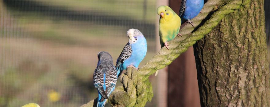 Tierpark Wolgast