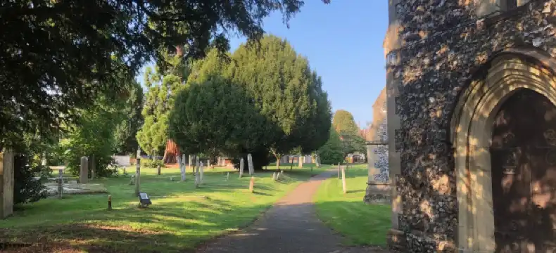 Hotels in Cobham