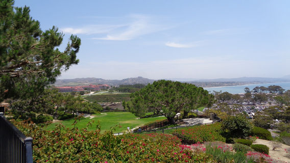 Doris Walker Overlook