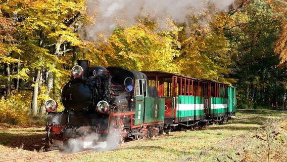 Narrow Gauge Railway Seaside Sp. o.o.