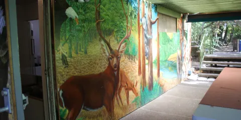 Museum of the American Indian