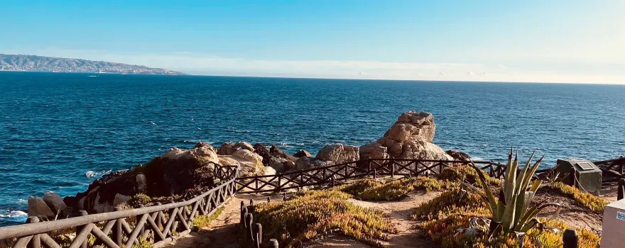 Roca Oceanica