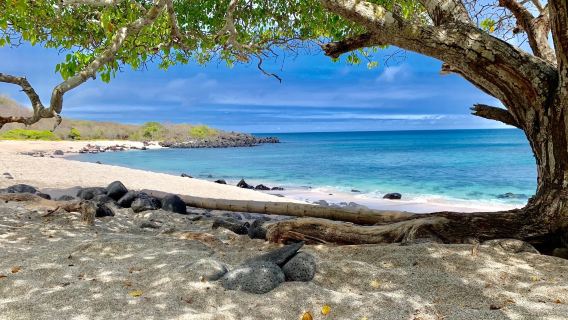 Playa Baquerizo