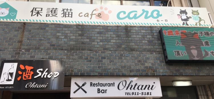 Cat Cafe Caro
