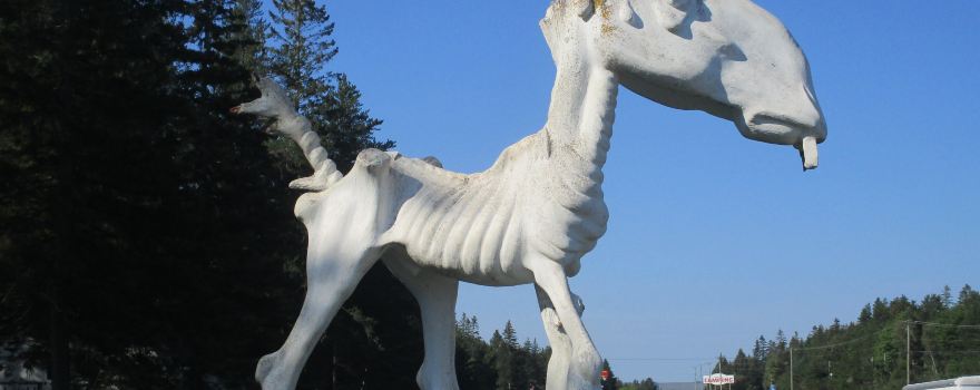 페놉스키스