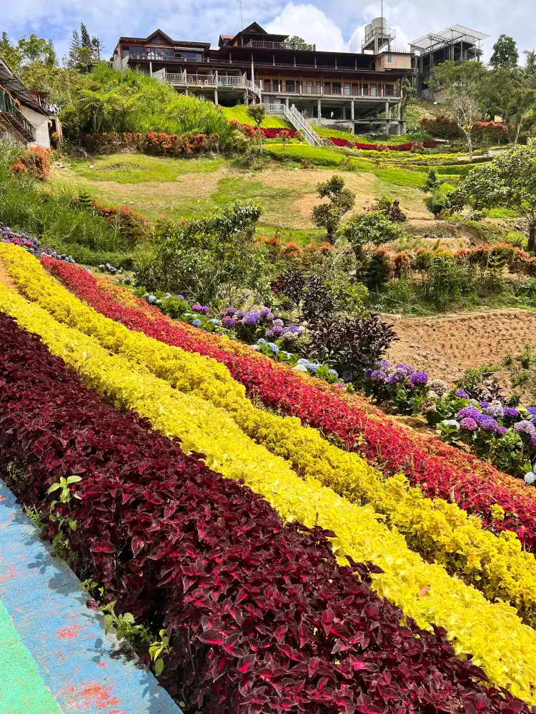 Hotels in Balamban