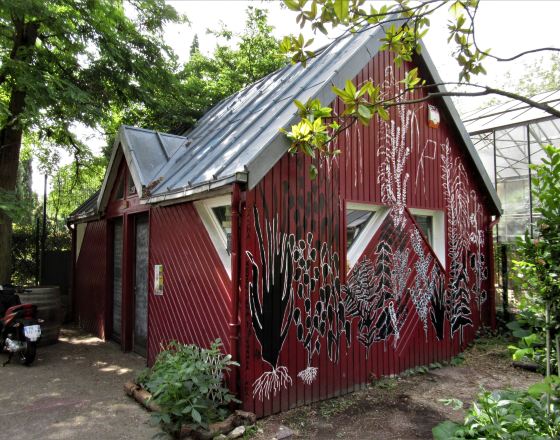 巴尼奧萊 自由行套票