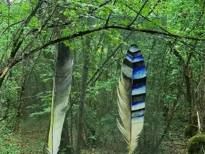 Foret des Geants Verts