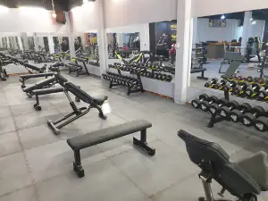 فوكس جيم FOX GYM