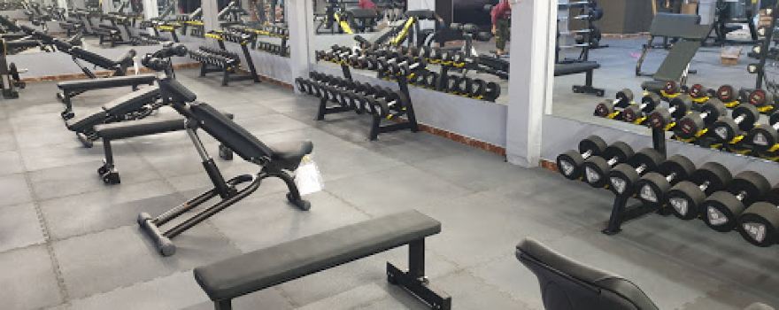 فوكس جيم FOX GYM