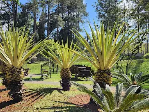 Centro De Pesca Taquari