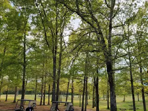 Shiloh Golf Course