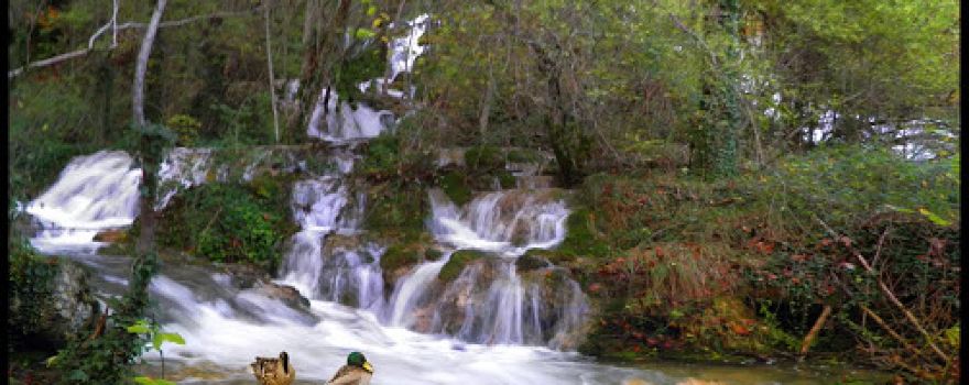 Río Urederra