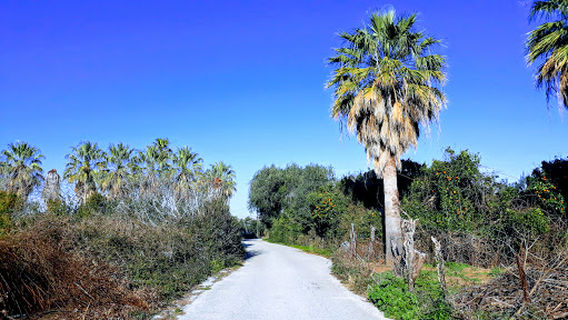 Athlopolis Football Club