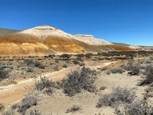 Patagonia Park Argentina - Pinturas Canyon Gateway