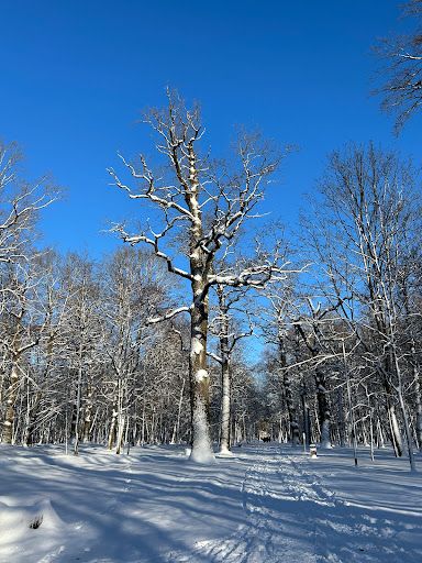 Oak Grove Park