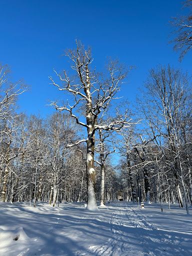 Oak Grove Park