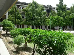 Maljai
