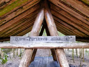 Purskav allikas
