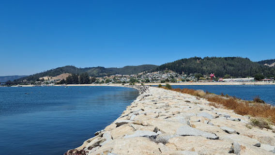 Isla Orrego
