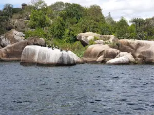 Saanane National Park