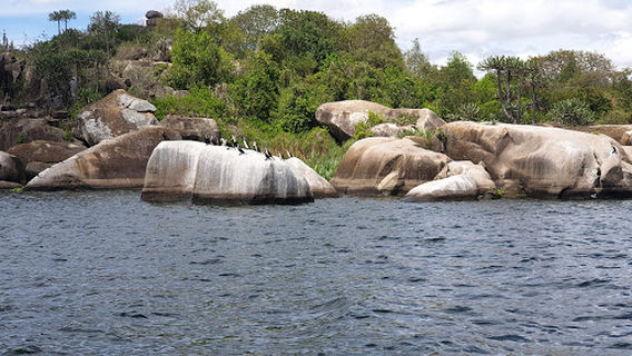 Saanane National Park