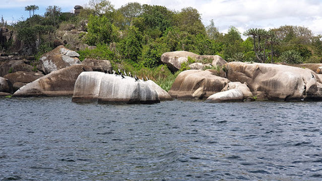 Saanane National Park