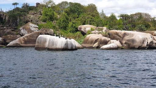 Saanane National Park