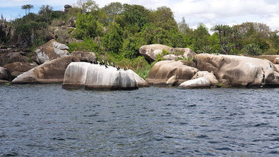 Saanane National Park