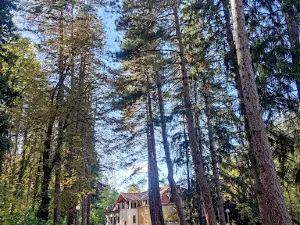 Park Nicolai Ghiaurov