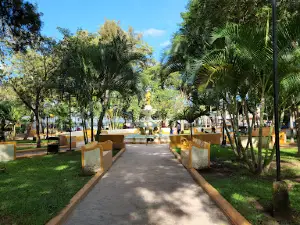 Central Park