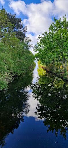 Ecopark Adventures Lacanau