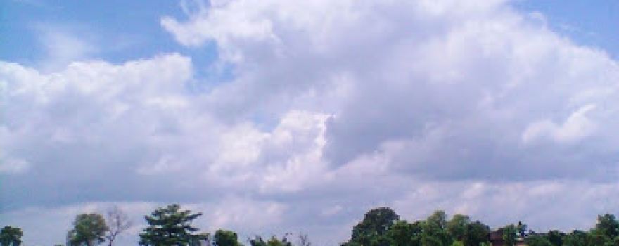 Pagara Crikcet Ground