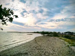 Playa la Guadalupana