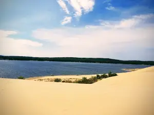 Silver Lake State Park Pedestrian Dune Access