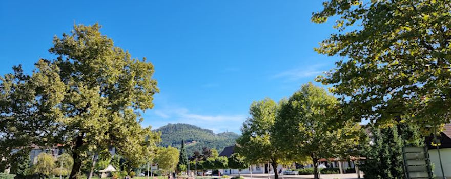 Zdraviliški park