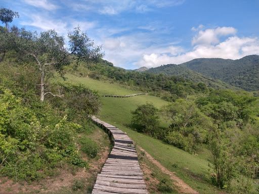 Cerro Elefante