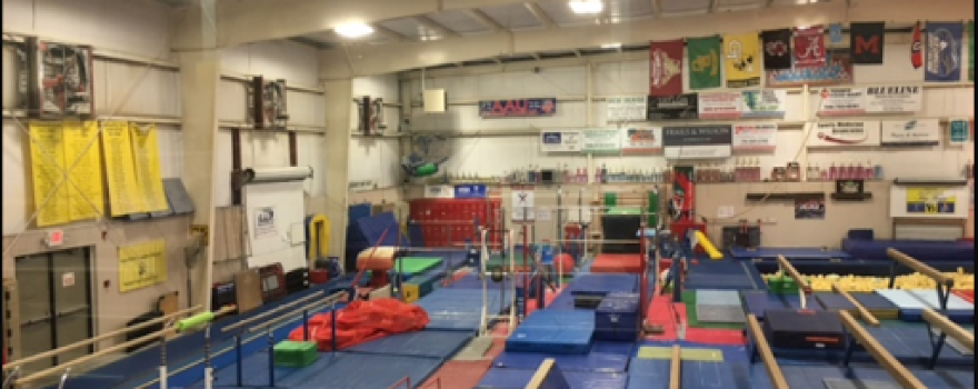 Gymnastics Gold