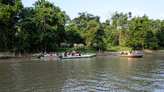 Kinabatangan Wildlife Sanctuary