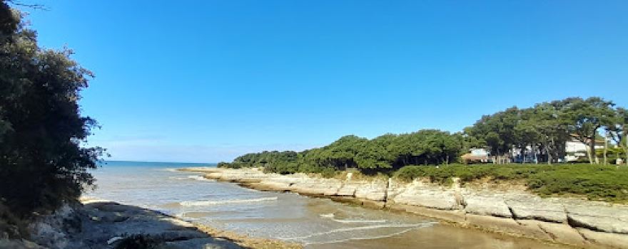 Conche du Conseil