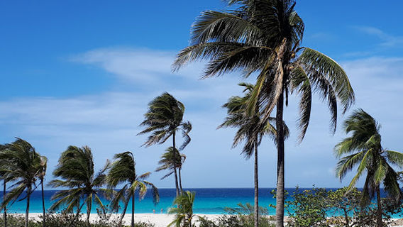 Gran Caribe Club Puntarena All Inclusive