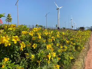 Devgad Windmill Garden - देवगड पवनचक्की बाग