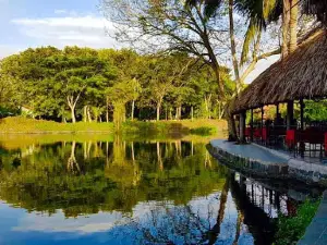 Hoa Binh park