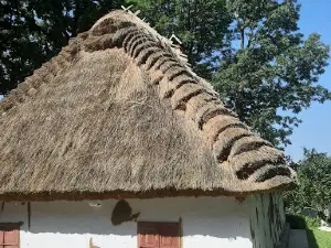 Memorialʹnyy Muzey-Sadyba Akademika D. Zabolotnoho