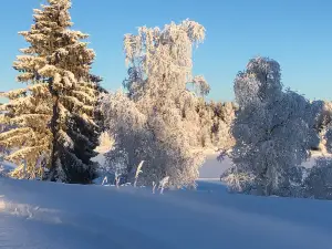 Pajala Camping